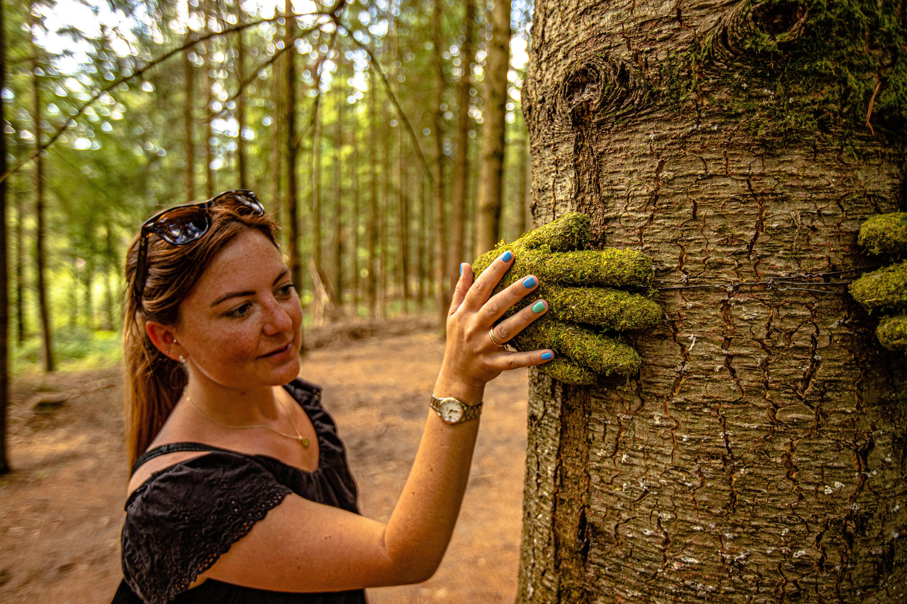 Forest of Dean Sculpture Trust 16